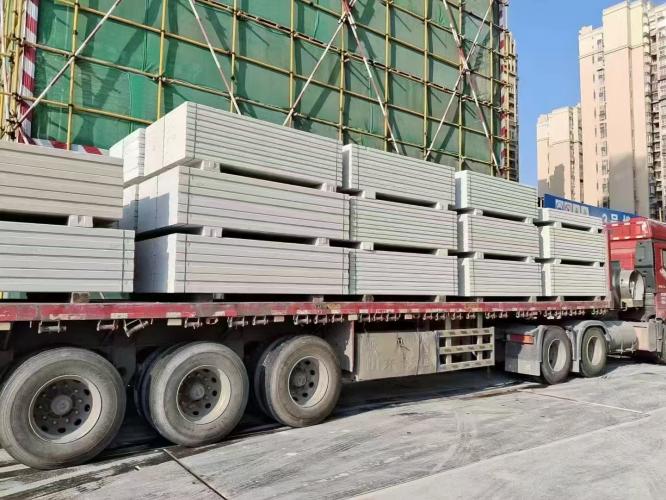 贵州ALC板 600*100*L